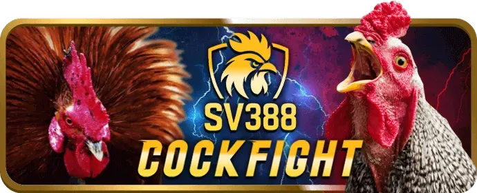 Thưởng tuần cho thành viên VIP Đá Gà